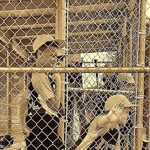 Meet your Posher, Cooper